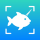 Fish_AI_ID_App_Icon